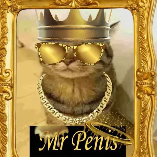 Эмодзи only mr penis