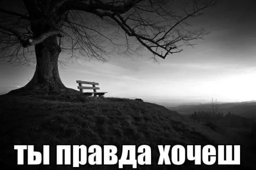 Эмодзи opentillate 11 11 1