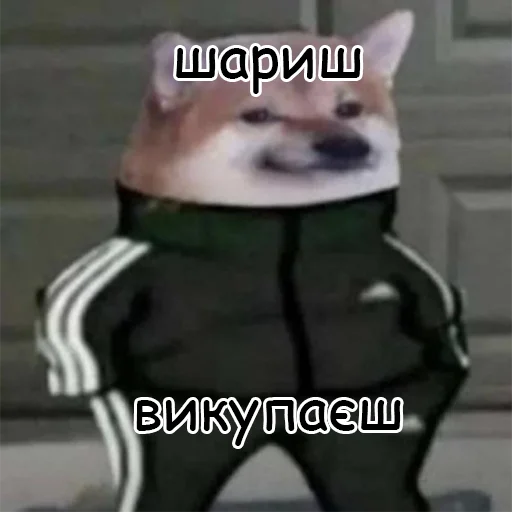 Эмодзи оркад коханець циць