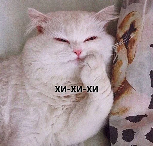 ?