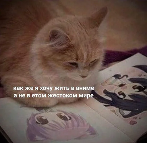 Эмодзи шмяк