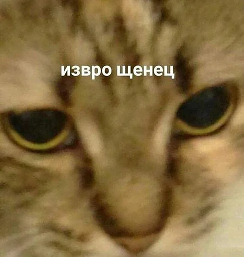Эмодзи шмяк