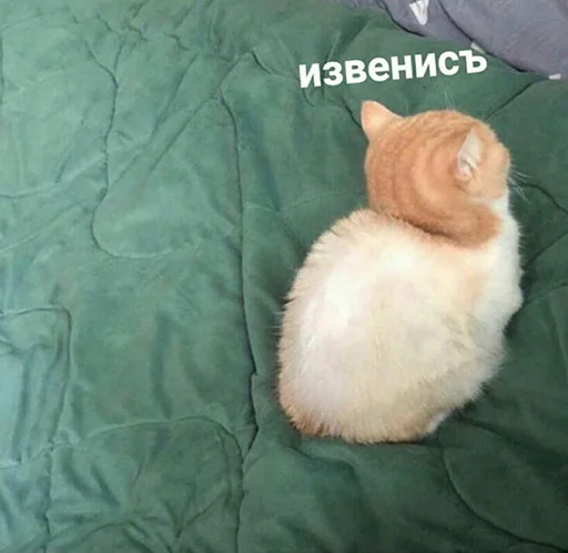 Эмодзи шмяк