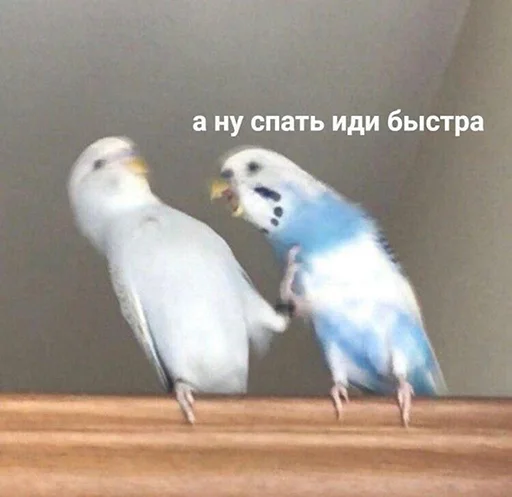Эмодзи шмяк
