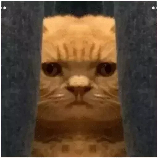 Эмодзи Caution