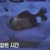Эмодзи I-LAND to love