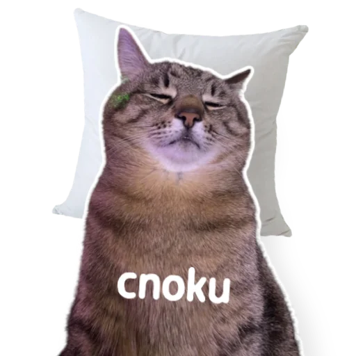 Эмодзи котыдоброты