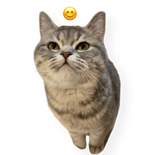 Эмодзи котыдоброты