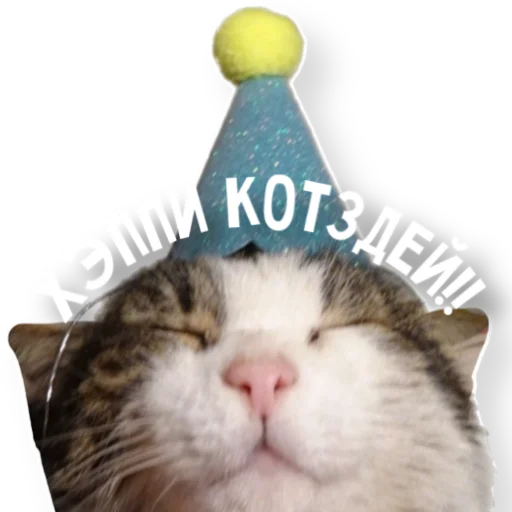 Эмодзи котыдоброты
