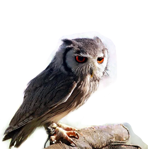 Эмодзи Owls