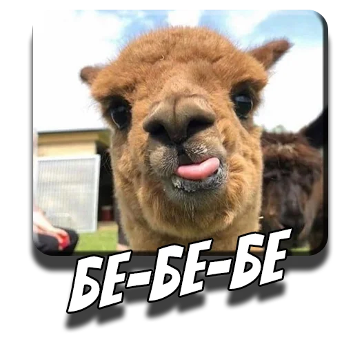 Эмодзи Альпаки