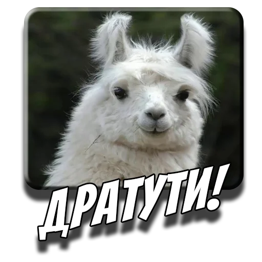 Эмодзи Альпаки