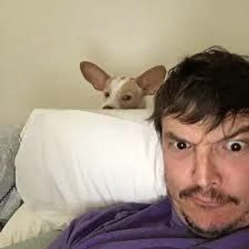 Эмодзи Pedro Paskal