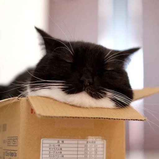 Эмодзи Котики