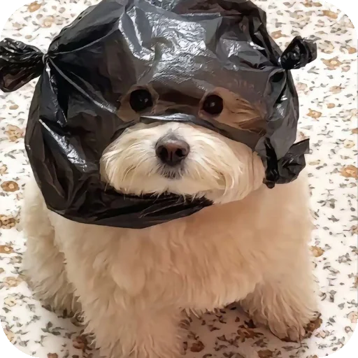 Эмодзи песики