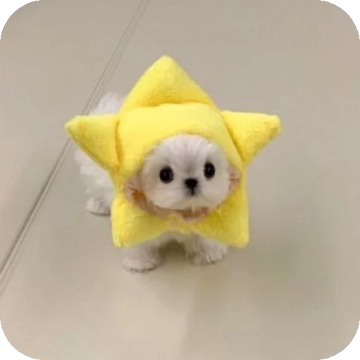 Эмодзи песики