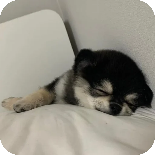 Эмодзи песики