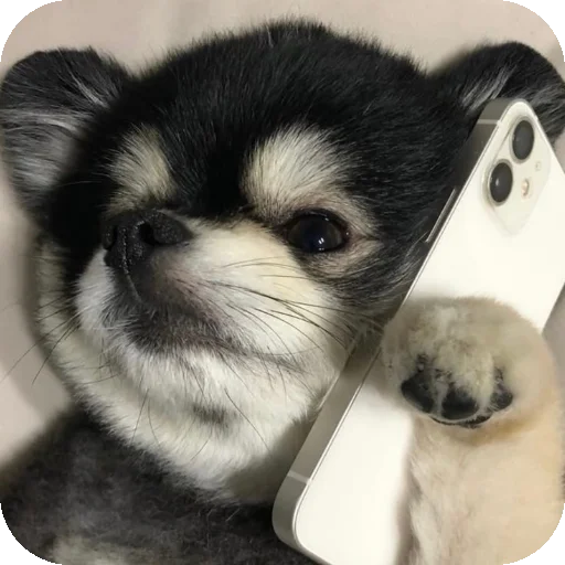 Эмодзи песики