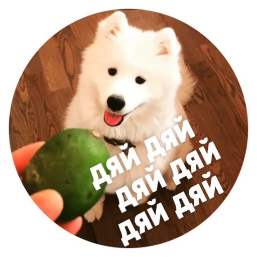 Эмодзи ? Пёськи тьмок