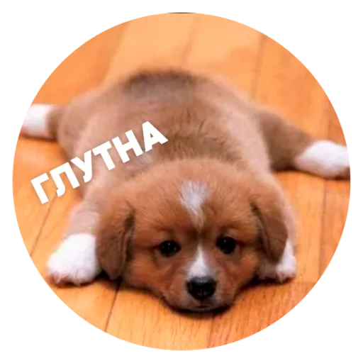 Эмодзи ? Пёськи тьмок