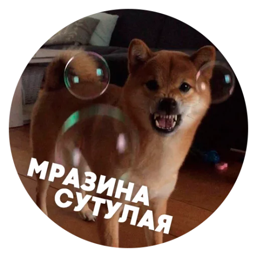 Эмодзи ? Пёськи тьмок