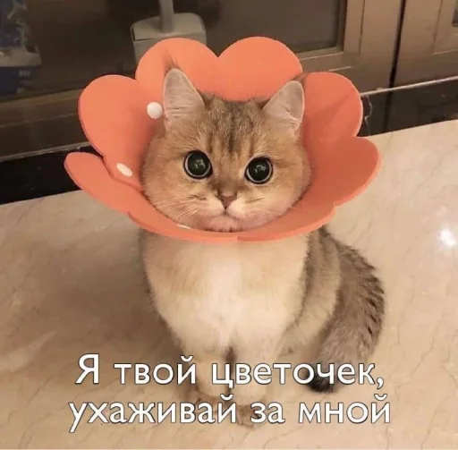 ?