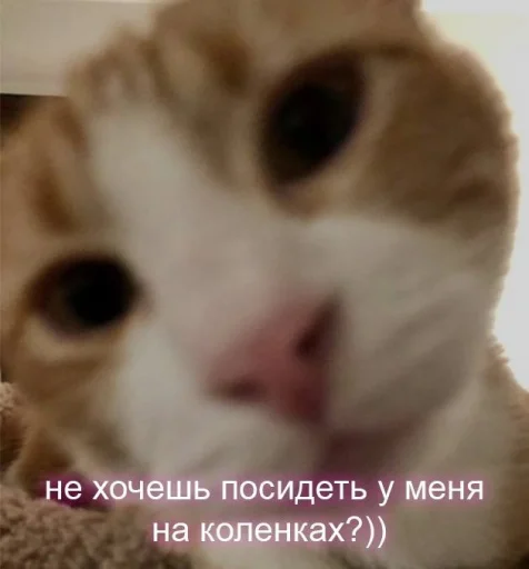 Эмодзи Пикчи для общения