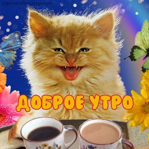 Эмодзи Котики и фразочки