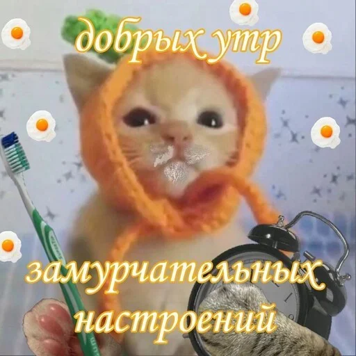 Эмодзи Котики и фразочки