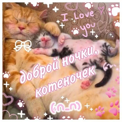 Эмодзи Котики и фразочки