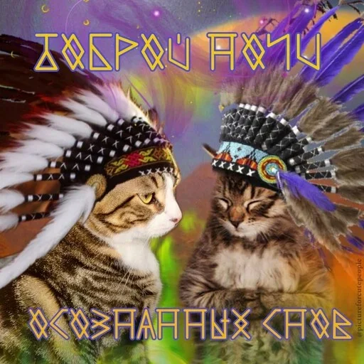 Эмодзи Котики и фразочки