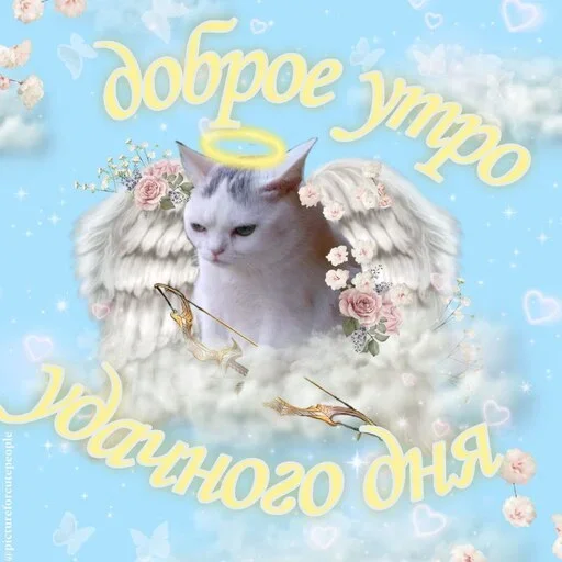 Эмодзи Котики и фразочки