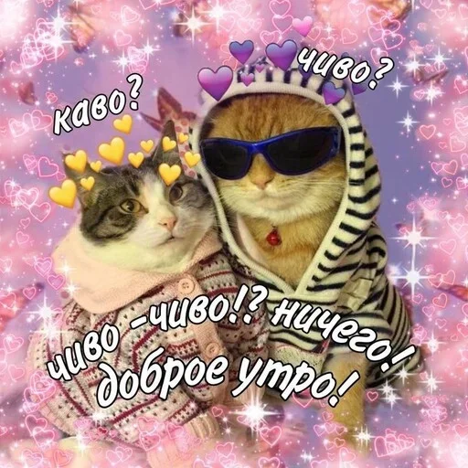Эмодзи Котики и фразочки