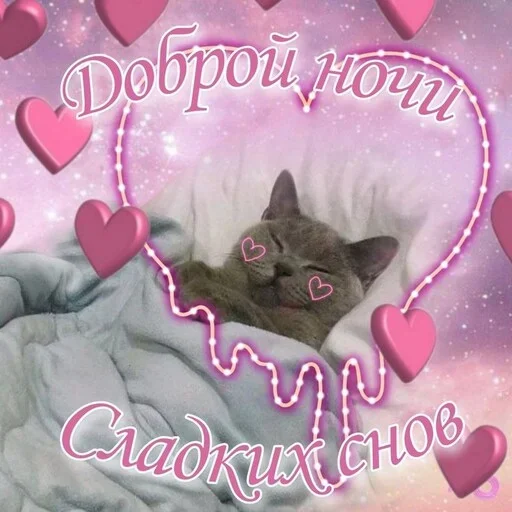 Эмодзи Котики и фразочки