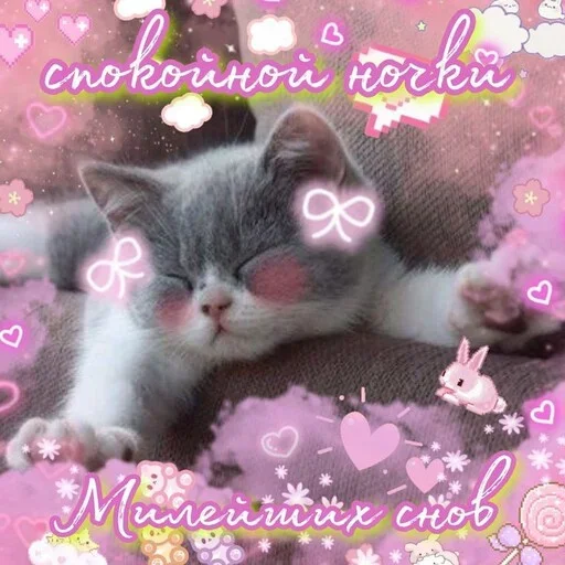 Эмодзи Котики и фразочки