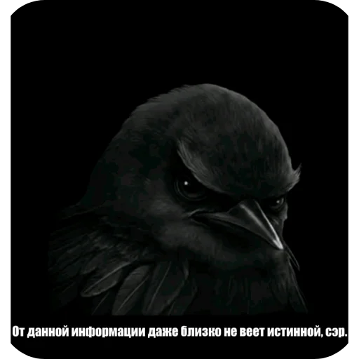 Эмодзи Birds Memes