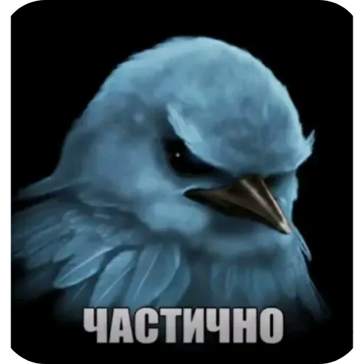 Эмодзи Birds Memes