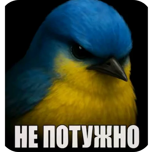 Эмодзи Birds Memes