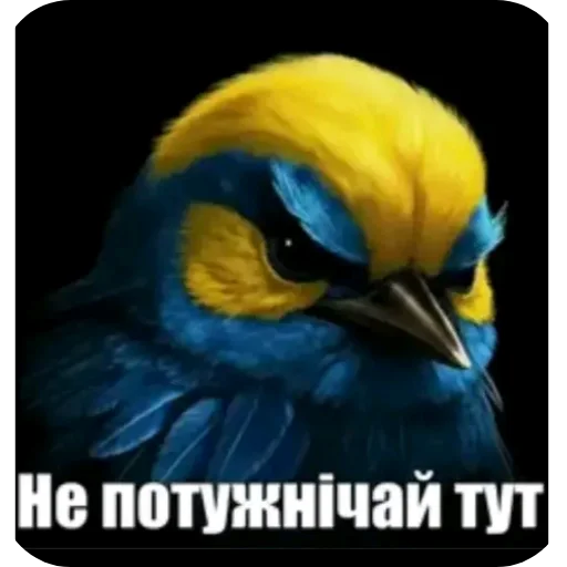 Эмодзи Birds Memes