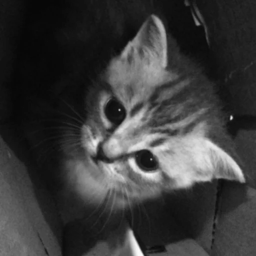 Эмодзи Will you take my hand, like then?