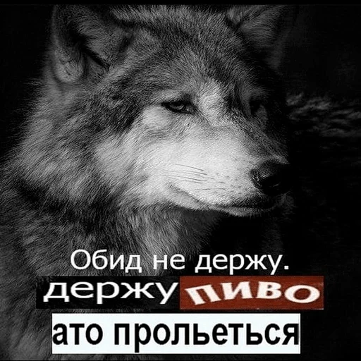 Эмодзи пиво и ничего лишнего