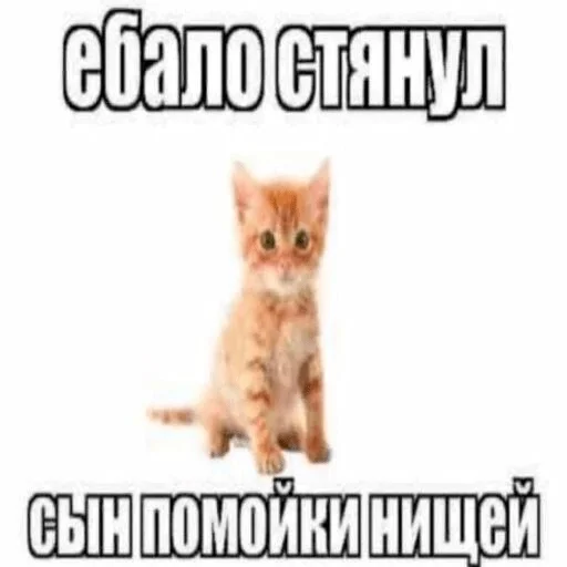 Эмодзи бля буду крабсбургером