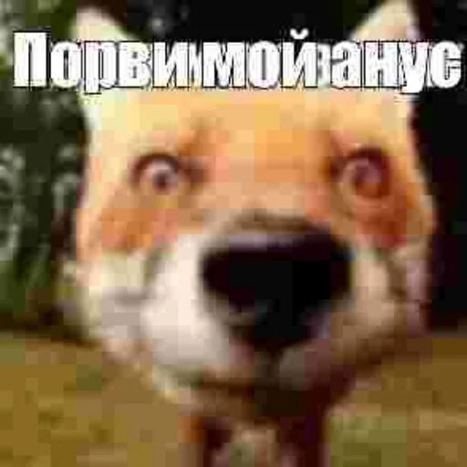 Эмодзи бля буду крабсбургером