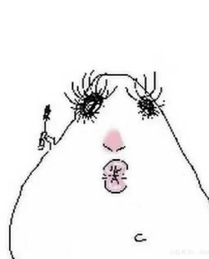 Эмодзи Хомячки