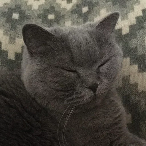 ?