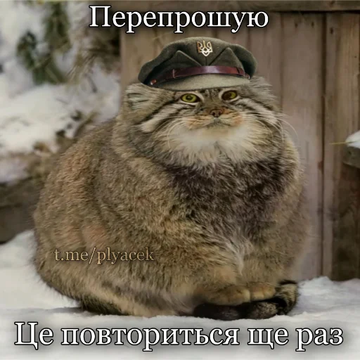 Эмодзи plyacek