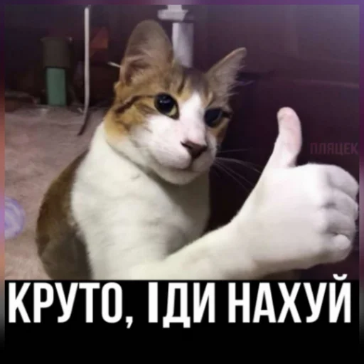 Эмодзи plyacek