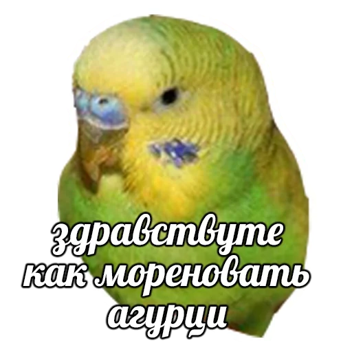 ?
