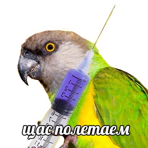 Эмодзи ПОДБОРКА МЕМОВ part 7