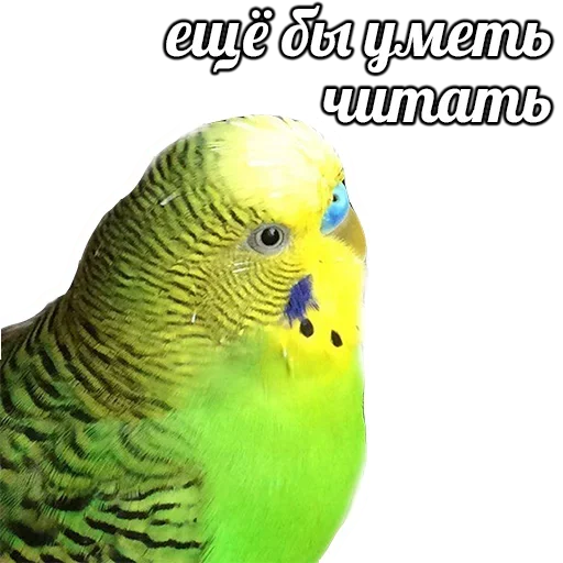 Эмодзи ПОДБОРКА МЕМОВ part 7